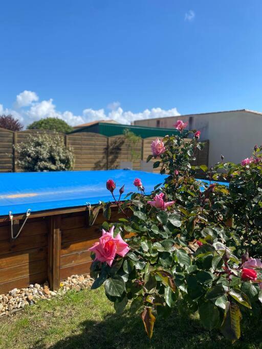 Jolie Petite Maison Renovee Piscine Saint-Palais-sur-Mer Bagian luar foto